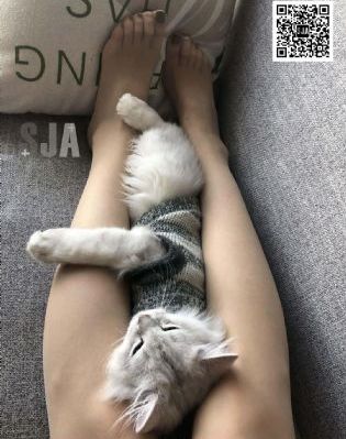 夜夜肏天天干_超清在线手机播放